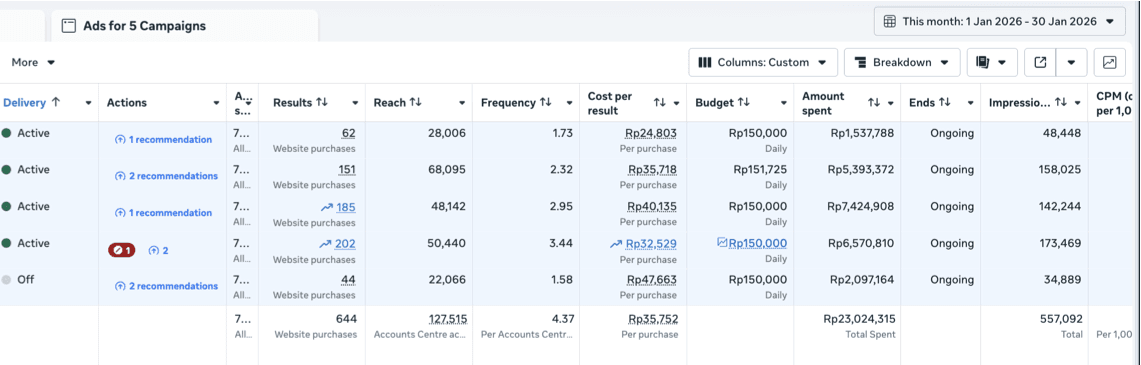 Dashboard Sales Real Results
